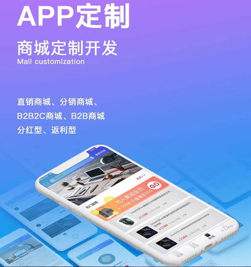 成都定制开发一个电商app需要多少钱